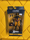 MARVEL LEGENDS- WOLVERINE (PRE-OWNED)
